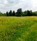 Парцел в Банкя