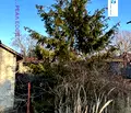 Снимка 3 — Парцел в м-т Евксино