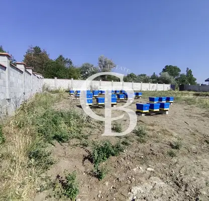 Photo 5 — Plot in Zvezdica