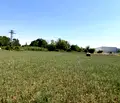 Снимка 5 — Парцел в Асеновско шосе