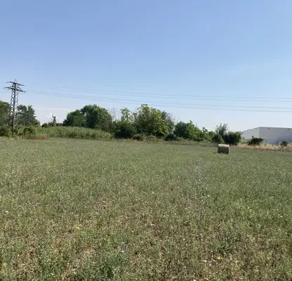Photo 5 — Plot in Асеновско шосе