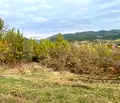 Снимка 2 — Парцел в с. Кътина