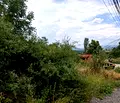 Снимка 5 — Парцел в с. Мърчаево