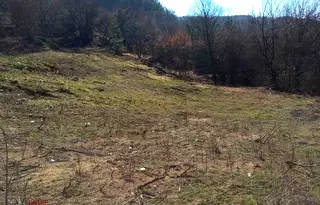 Парцел в с. Мърчаево