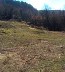 Парцел в с. Мърчаево