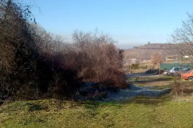 Plot in Myrchaevo