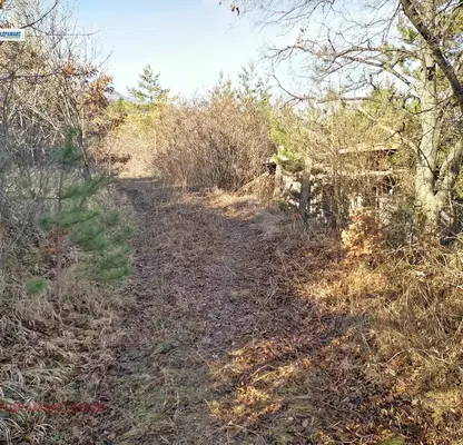 Photo 2 — Plot in Pancharevo