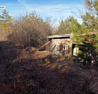 Photo 3 — Plot in Pancharevo