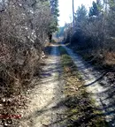 Парцел в с. Панчарево