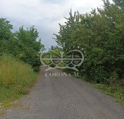 Снимка 4 — Парцел в с. Кокаляне