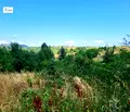 Снимка 5 — Парцел в с. Плана