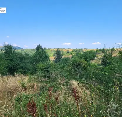 Photo 5 — Plot in Plana