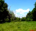 Снимка 2 — Парцел в с. Звездица