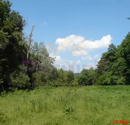 Photo 2 — Plot in Zvezdica