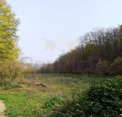 Photo 3 — Plot in Zvezdica