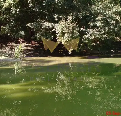 Photo 4 — Plot in Zvezdica