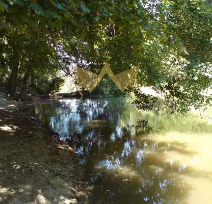 Photo 5 — Plot in Zvezdica