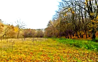 Парцел в с. Звездица