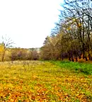 Парцел в с. Звездица