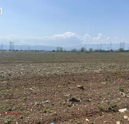 Photo 3 — Plot in Yana