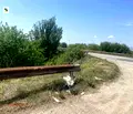 Снимка 4 — Парцел в с. Яна