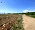 Снимка 5 — Парцел в с. Яна