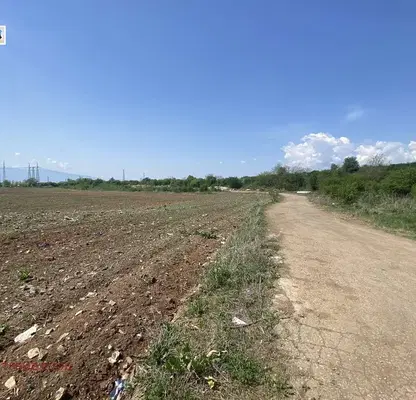 Photo 5 — Plot in Yana