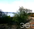 Снимка 2 — Парцел в с. Константиново