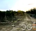 Снимка 4 — Парцел в с. Константиново