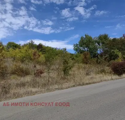 Photo 3 — Plot in Bankya