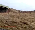 Снимка 3 — Парцел в с. Мало Бучино