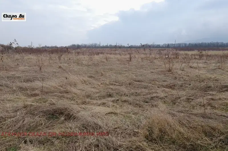 Plot in Malo Buchino