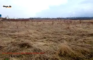Парцел в с. Мало Бучино