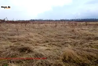 Парцел в с. Мало Бучино