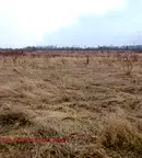 Парцел в с. Мало Бучино