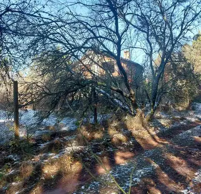 Photo 5 — Plot in Podgumer