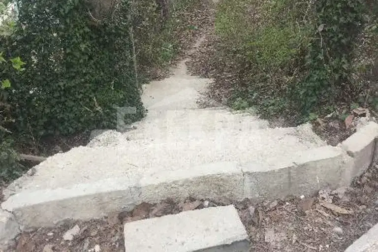 Plot in Zlatni Pyasyci