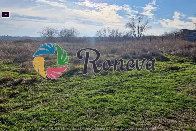 Plot in Zvezdica
