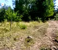 Снимка 5 — Парцел в с. Мърчаево