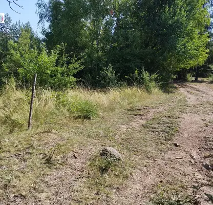 Снимка 5 — Парцел в с. Мърчаево