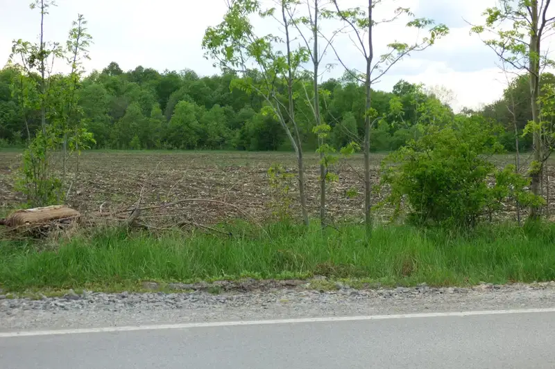 Plot in Ivanyane
