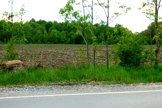 Парцел в с. Иваняне