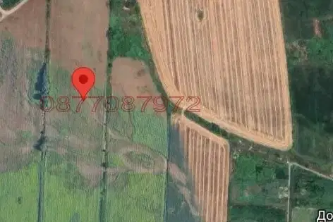 Plot in Chepinci