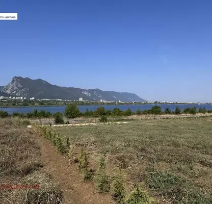 Photo 2 — Plot in Студентски