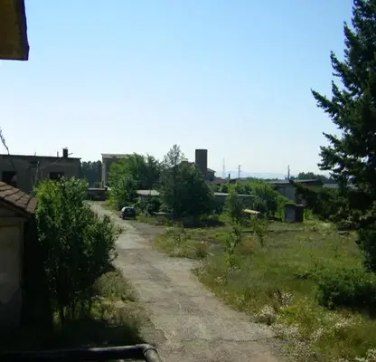 Photo 4 — Plot in Yana