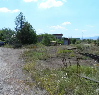 Photo 5 — Plot in Yana
