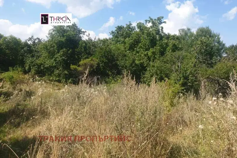 Plot in Plana