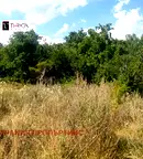 Парцел в с. Плана