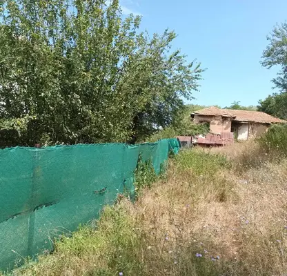 Photo 2 — Plot in Myrchaevo
