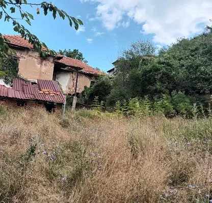 Photo 5 — Plot in Myrchaevo
